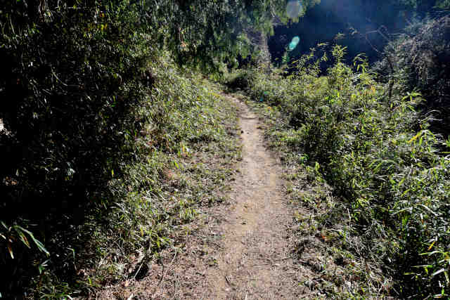 �R���P���̐�