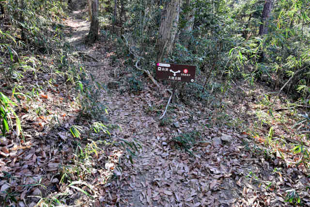 �R���Q����R