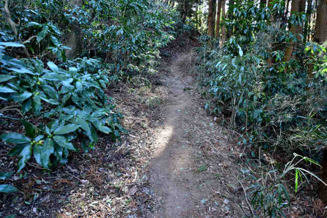 �R���Q�Ζʓo�R��