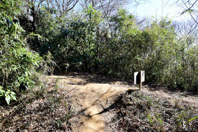 �R���Q���c�鍇��