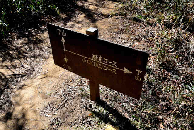 �R���Q���c�鍇���ē���