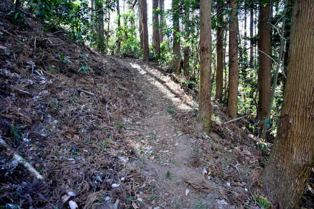 �R���Q���c�鍇���O