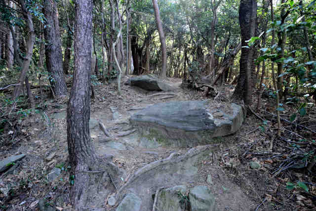 �R���Q���