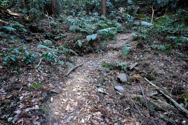 �R���Q��