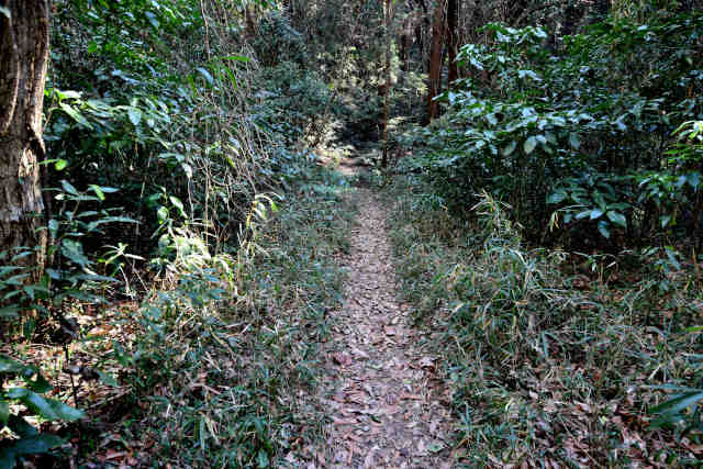 �R���Q��O