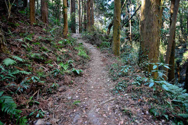 �R���Q���