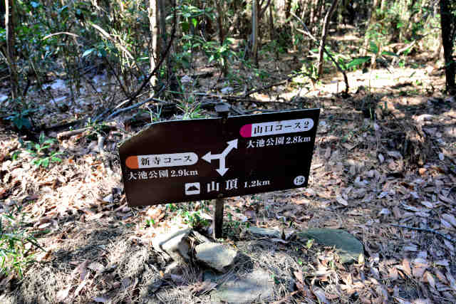 �R���Q�V���R�[�X�����ē���