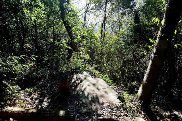 �R���Q�W�]��