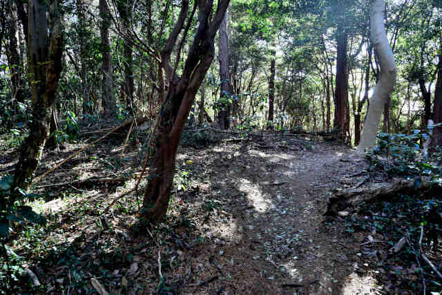 �R���Q�W�]���O