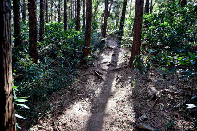 �R���Q���