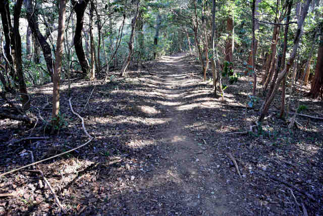 �R���Q������