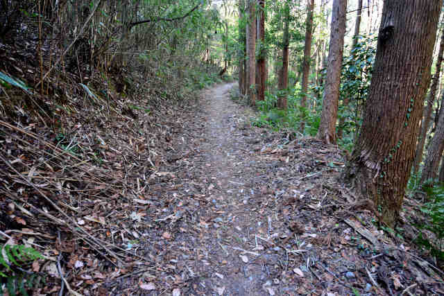 �R���Q�o�R����