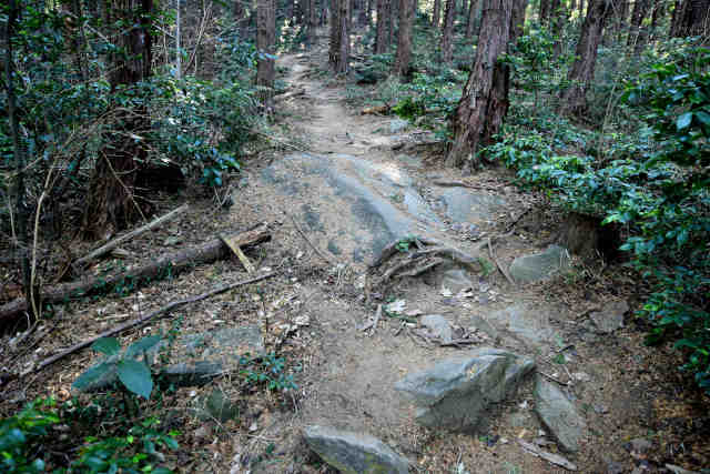 �R���Q��