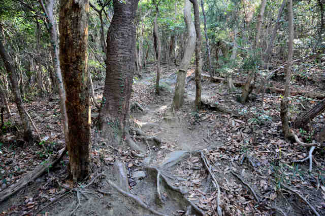 �R���Q�X��