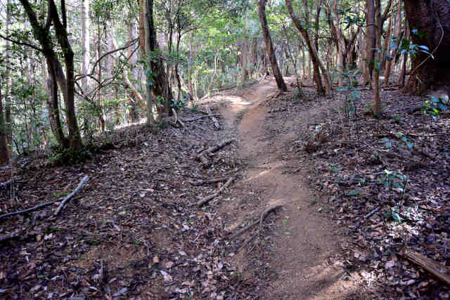 �R���Q�Ζʓ�