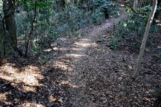 �R���Q����