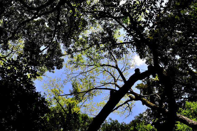 �����R�Ί���