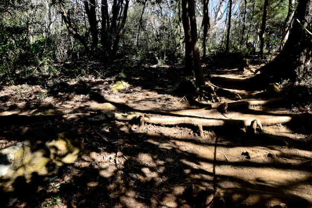 ���Ǐ��������R����