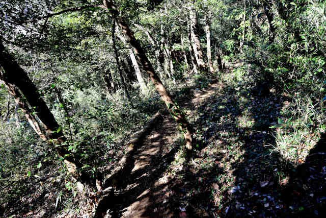 ���Ǐ���