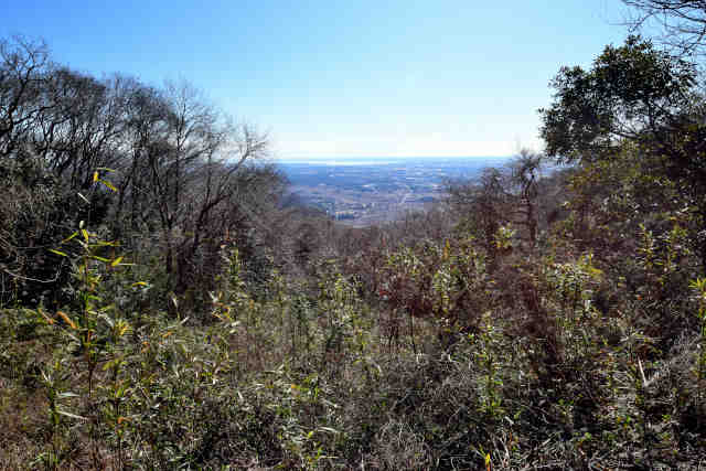 ���Ǐ������]