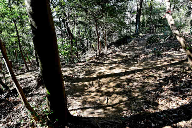 ���Ǐ���