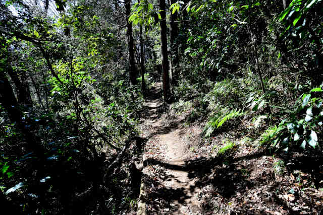 ���Ǐ����X��