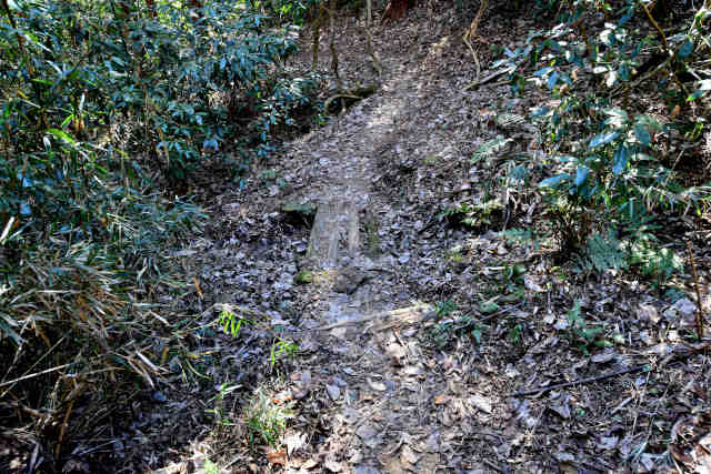 ���Ǐ�����