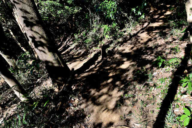 ���Ǐ���