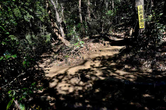 ���Ǐ����W�]�╪��