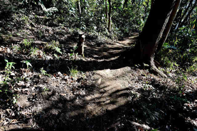 ���Ǐ����W�]��{������