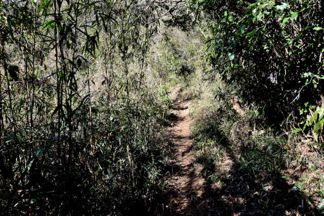 ���Ǐ���