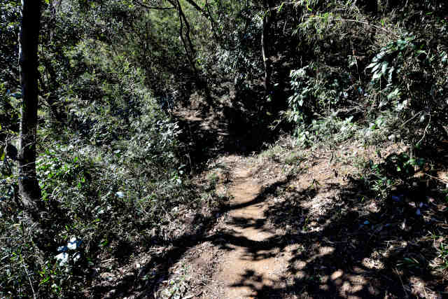 ���Ǐ�������