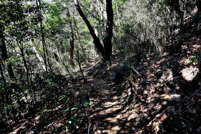 ���Ǐ������R