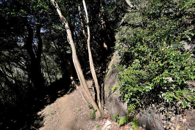 ���Ǐ����E���