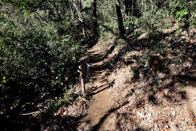 ���Ǐ������R��