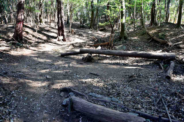 �����x���`