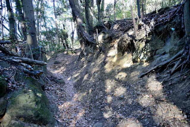 �����o�R����