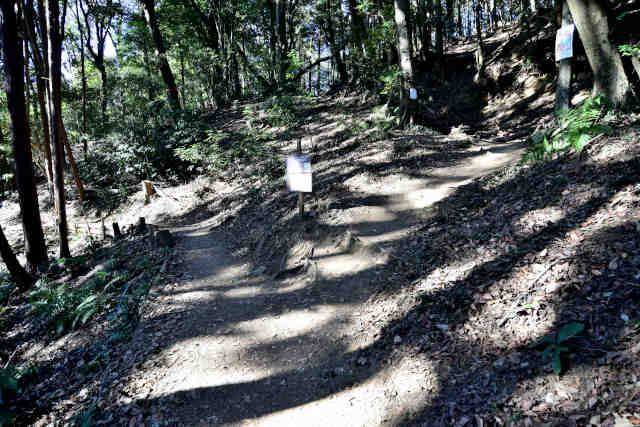 �����R�[�X�o�R������