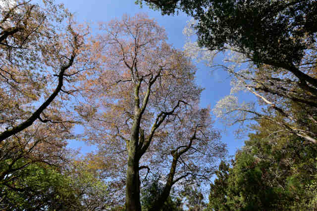 �����R��{��