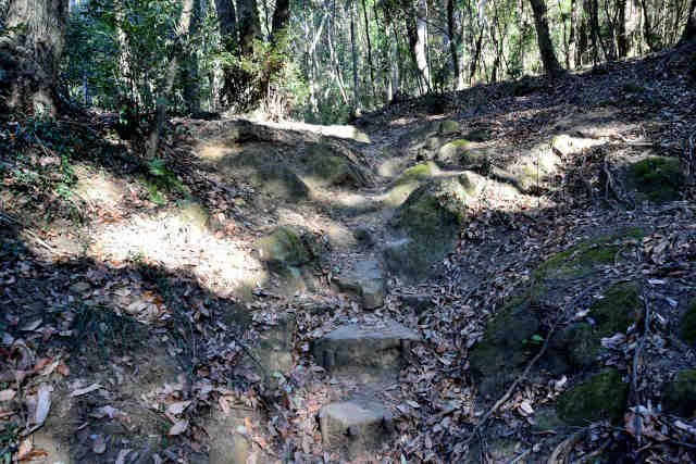 �����o�R���K�i