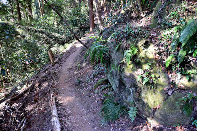 �����x�e����