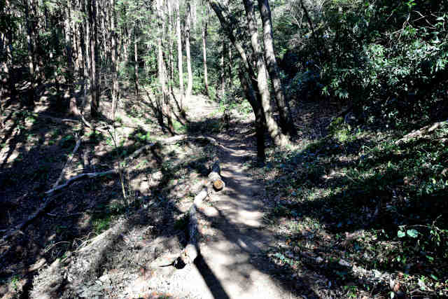 ������{���x�e����