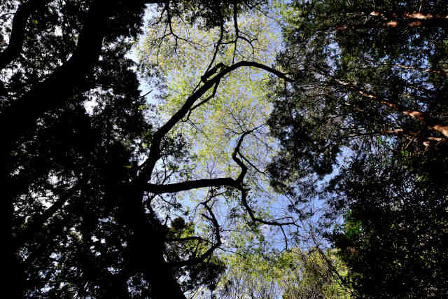 �����R�O�{��