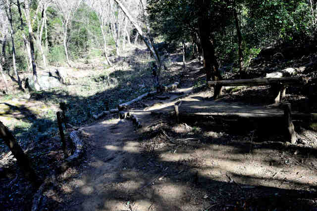 �����V�̐썇��