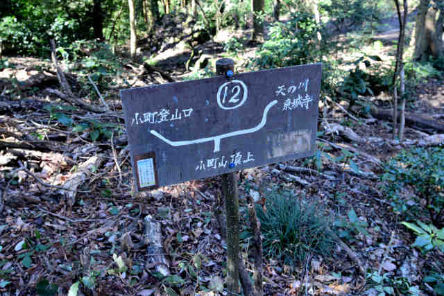 �����V�̐썇���ē�