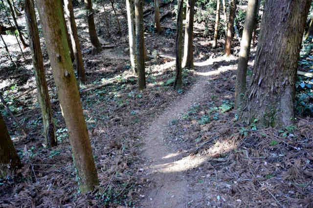 �����O�{����J