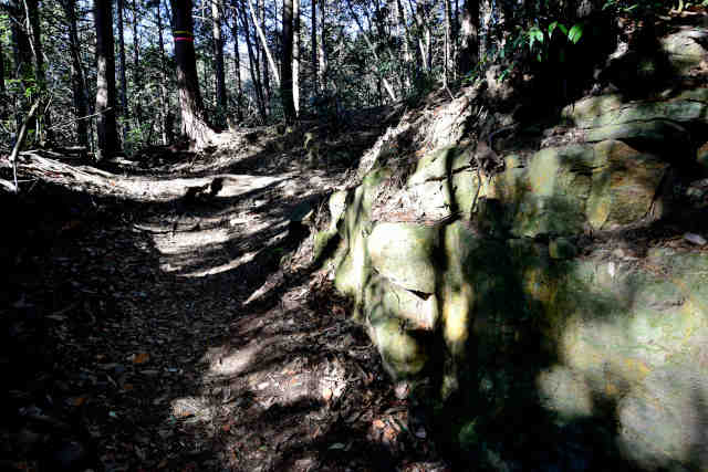 �����o�R���E���