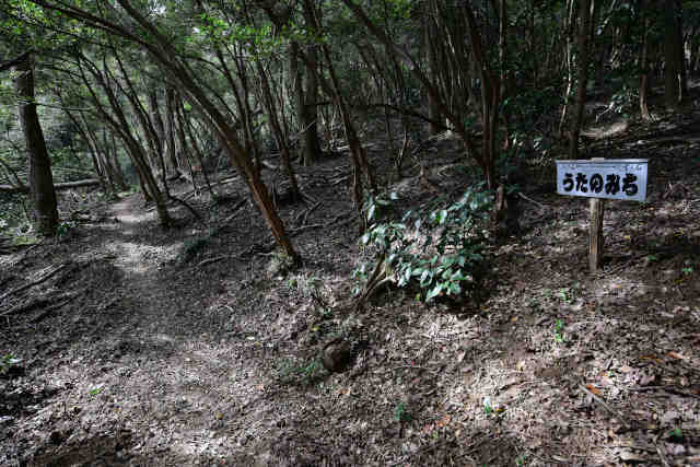 �����݂̂��o�R��