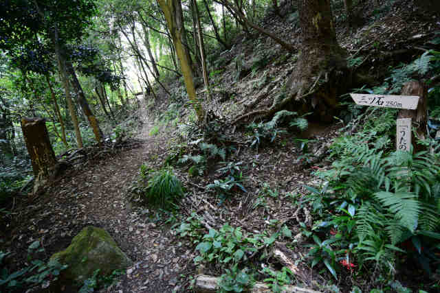 �����݂̂��N�_