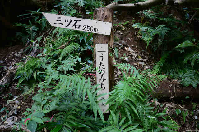 �����݂̂��N�_�ē��W